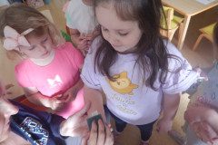 DSCN0265