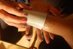 DSCN0270