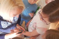 DSCN0277