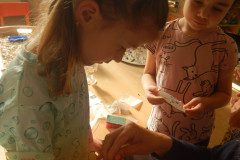 DSCN0281