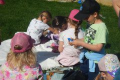 DSCN0317