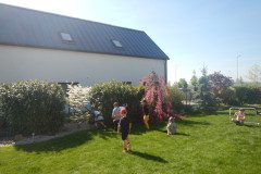 DSCN0338