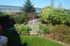 DSCN0339