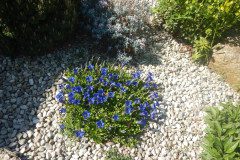 DSCN0346