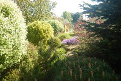 DSCN0348