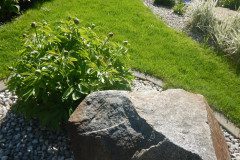 DSCN0349