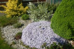 DSCN0350