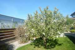 DSCN0352