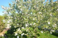 DSCN0353