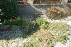 DSCN0357