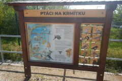 DSCN0364