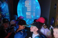 20250416_113114