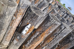 IMG_20260520_093408