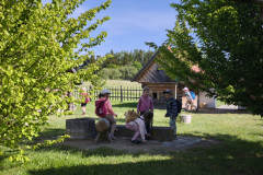 IMG_20260520_094228