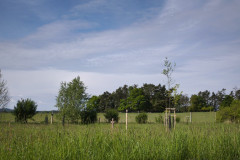IMG_20260520_094255