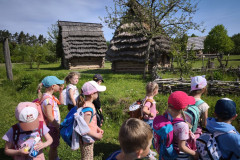 IMG_20260520_095458