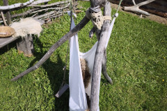 IMG_20260520_100404
