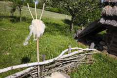 IMG_20260520_100408