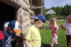 IMG_20260520_100517