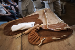 IMG_20260520_100856