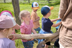 IMG_20260520_102152