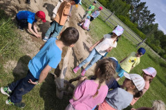 IMG_20260520_102917