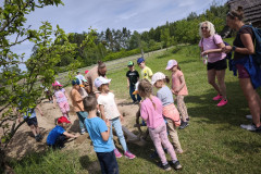 IMG_20260520_102919