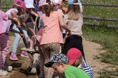 IMG_20260520_102958