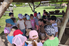 IMG_20260520_103309