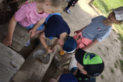 IMG_20260520_103434