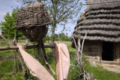 IMG_20260520_104109