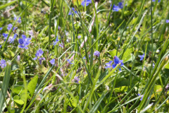 IMG_20260520_104726