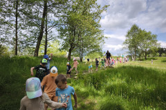 IMG_20260520_110601
