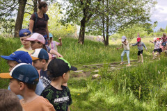 IMG_20260520_110615