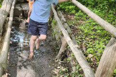 IMG_20260520_110656