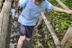 IMG_20260520_110658