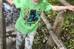 IMG_20260520_110734