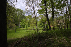 IMG_20260520_111117
