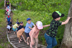 IMG_20260520_111126