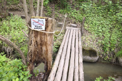 IMG_20260520_111339