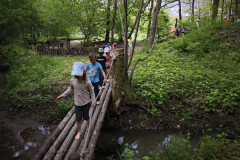 IMG_20260520_111351