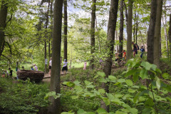 IMG_20260520_111452