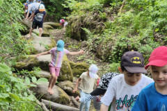 IMG_20260520_111624