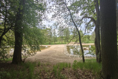 IMG_20260520_111836