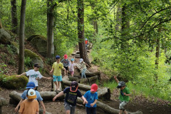 IMG_20260520_111847