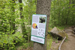 IMG_20260520_111939