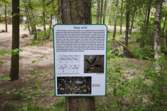 IMG_20260520_112049