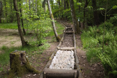 IMG_20260520_112101