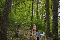 IMG_20260520_112106