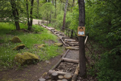 IMG_20260520_112359